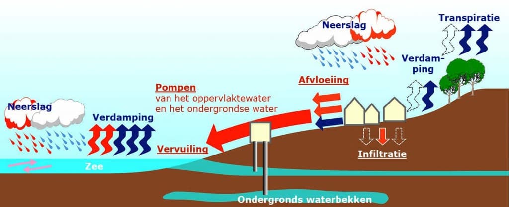 regenwater grondwater riolering groendak